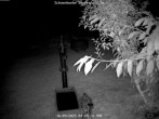 Archiv Foto Webcam Bärenfels im Osterzgebirge: Schneehöhe 03:00