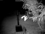 Archived image Webcam Bärenfels - Snowcam 23:00