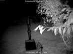 Archiv Foto Webcam Bärenfels im Osterzgebirge: Schneehöhe 03:00