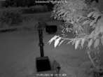 Archived image Webcam Bärenfels - Snowcam 05:00