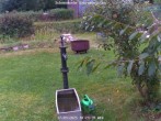 Archived image Webcam Bärenfels - Snowcam 09:00