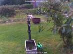 Archived image Webcam Bärenfels - Snowcam 11:00