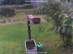 Archived image Webcam Bärenfels - Snowcam 15:00
