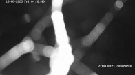 Archiv Foto Webcam Hohegeiß Braunlage: Blick über das Tal 22:00