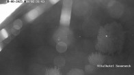 Archived image Webcam Braunlage-Hohegeiß: Panoramic view 01:00