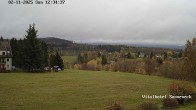 Archived image Webcam Braunlage-Hohegeiß: Panoramic view 11:00
