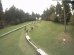 Archiv Foto Webcam Wasserkuppe: Skischule Abfahrt Märchenwiese 13:00