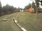 Archiv Foto Webcam Wasserkuppe: Skischule Abfahrt Märchenwiese 11:00