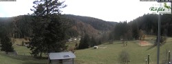 Archived image Webcam Todtmoos valley 13:00