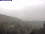 Archiv Foto Webcam Todtnauberg: Pension Glöcklehof 11:00