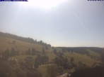 Archived image Webcam Guest house "Glöcklehof" 11:00