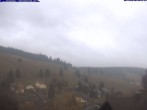 Archiv Foto Webcam Todtnauberg: Pension Glöcklehof 17:00