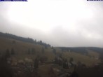 Archiv Foto Webcam Todtnauberg: Pension Glöcklehof 09:00