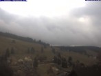 Archiv Foto Webcam Todtnauberg: Pension Glöcklehof 11:00
