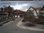 Archiv Foto Webcam Das Dorf Schluchsee 11:00
