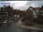 Archived image Webcam Village Schluchsee 11:00