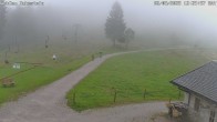 Archiv Foto Webcam Skilift Ruhestein 11:00