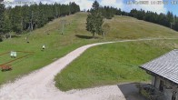 Archiv Foto Webcam Skilift Ruhestein 13:00