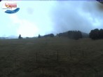 Archiv Foto Webcam Menzenschwand: Schwinbachskilift 11:00