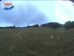 Archiv Foto Webcam Menzenschwand: Schwinbachskilift 07:00
