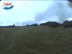 Archiv Foto Webcam Menzenschwand: Schwinbachskilift 09:00