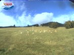 Archived image Webcam Schwinbach ski lift 09:00