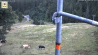 Archiv Foto Webcam Liftverbund Feldberg: Zeller Skihütte 17:00