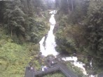 Archiv Foto Webcam Triberg Wasserfall 09:00