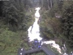Archived image Webcam Waterfall in Triberg 15:00