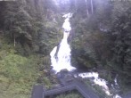 Archiv Foto Webcam Triberg Wasserfall 19:00