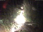 Archiv Foto Webcam Triberg Wasserfall 21:00