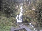 Archived image Webcam Waterfall in Triberg 05:00