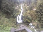 Archived image Webcam Waterfall in Triberg 06:00