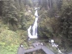 Archived image Webcam Waterfall in Triberg 07:00