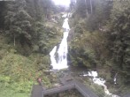 Archived image Webcam Waterfall in Triberg 11:00