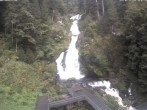 Archived image Webcam Waterfall in Triberg 08:00