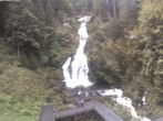 Archived image Webcam Waterfall in Triberg 11:00