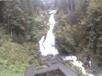 Archived image Webcam Waterfall in Triberg 13:00