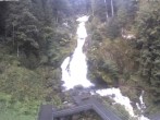 Archiv Foto Webcam Triberg Wasserfall 08:00