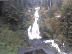Archived image Webcam Waterfall in Triberg 08:00