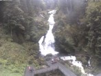 Archived image Webcam Waterfall in Triberg 13:00