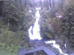 Archived image Webcam Waterfall in Triberg 08:00