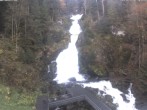 Archived image Webcam Waterfall in Triberg 09:00