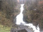 Archived image Webcam Waterfall in Triberg 11:00