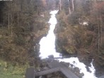 Archiv Foto Webcam Triberg Wasserfall 06:00
