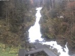 Archiv Foto Webcam Triberg Wasserfall 07:00