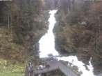 Archiv Foto Webcam Triberg Wasserfall 11:00