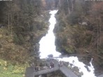 Archiv Foto Webcam Triberg Wasserfall 13:00