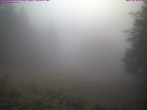 Archiv Foto Webcam Großer Inselsberg 06:00