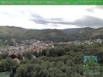 Archived image Webcam Friedrichroda: Thuringian Forest 11:00
